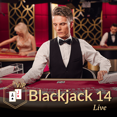 Blackjack VIP 14